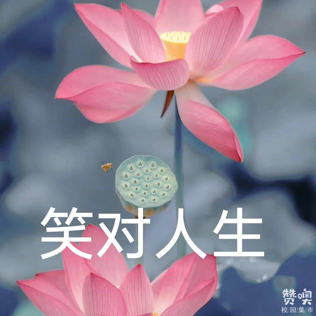 站点头像